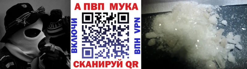 APVP VHQ  Курчалой 