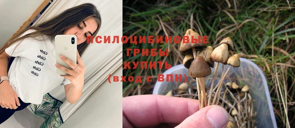кокс Баксан
